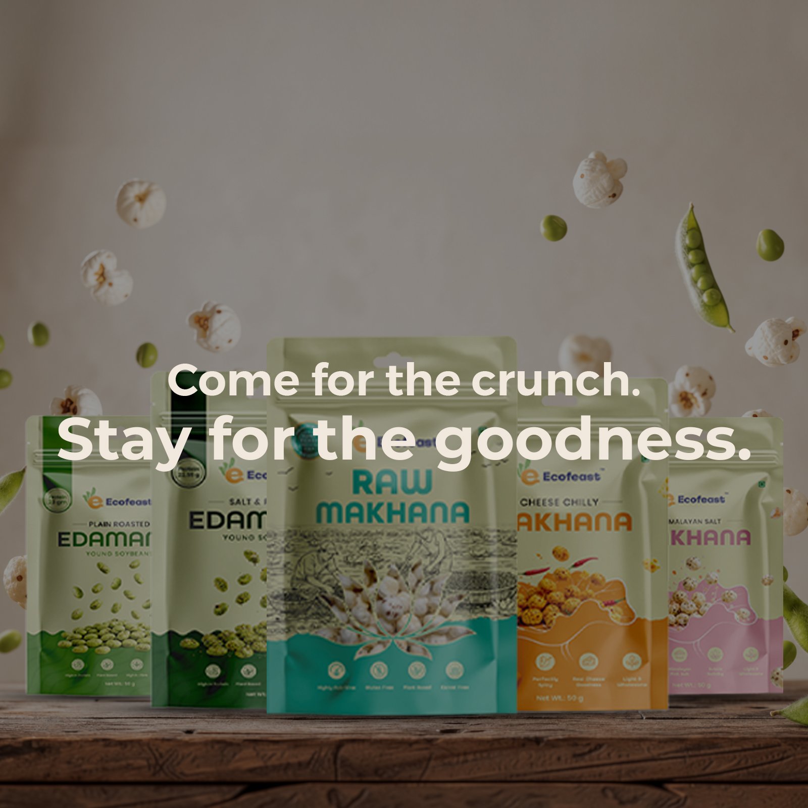 Ecofeast Banner 1